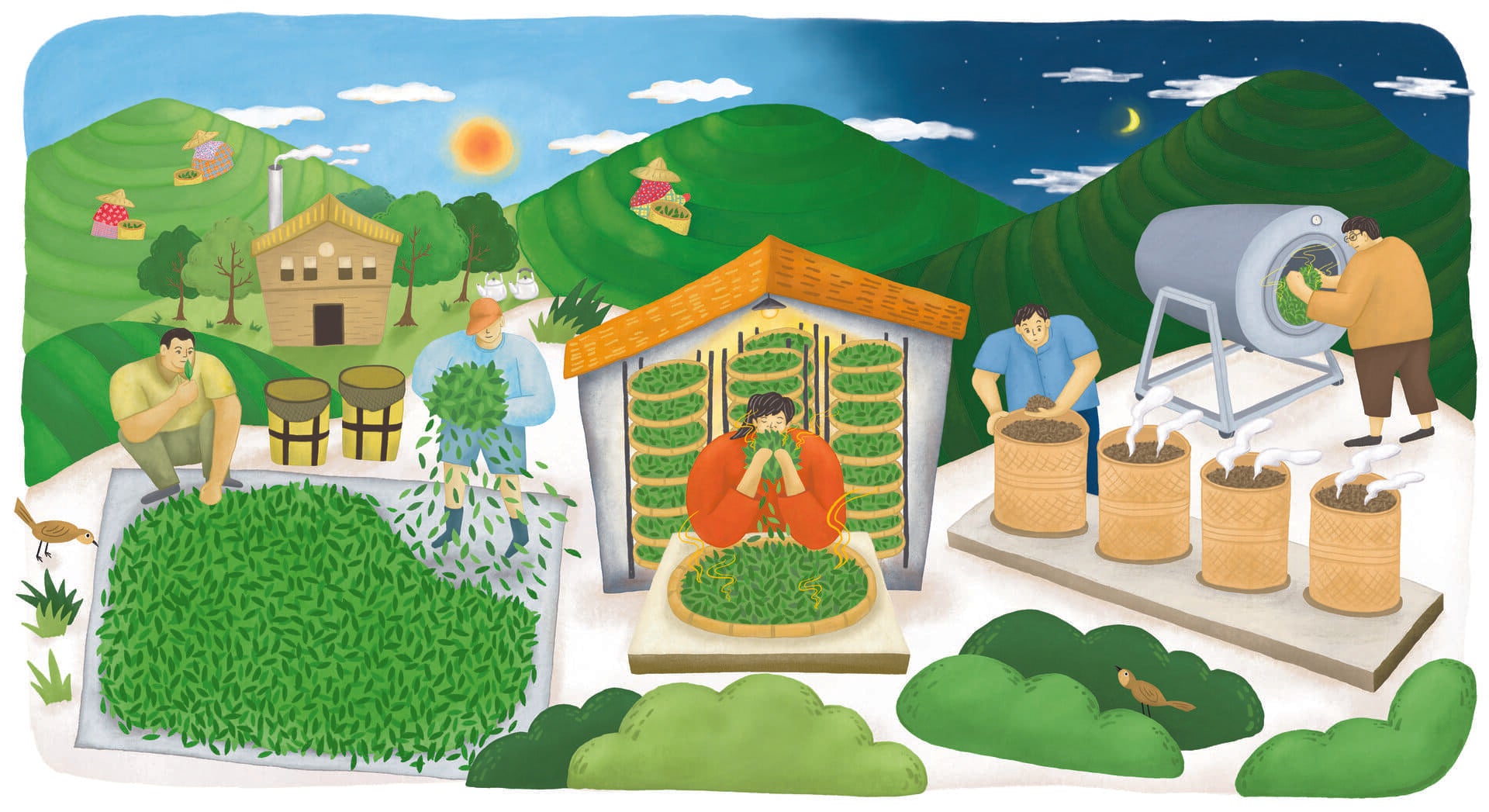 茶前故事｜一段可以收藏的文化體驗