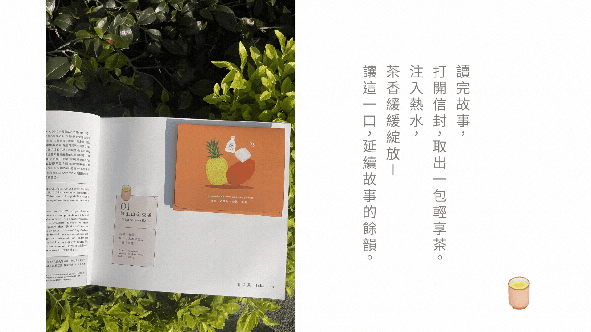 茶前故事｜一段可以收藏的文化體驗